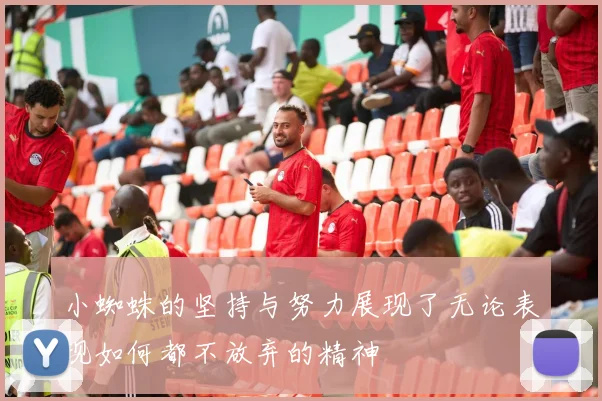 小蜘蛛的坚持与努力展现了无论表现如何都不放弃的精神